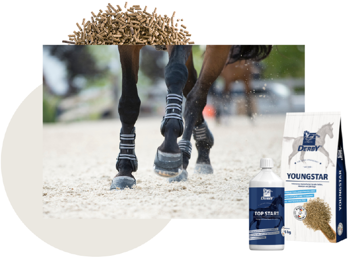 newsletter derby anmeldung int 25